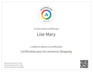 Certification Google Ads Shopping Lise Mary